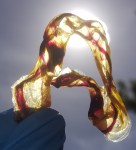 Umbilical Cord Keepsake A