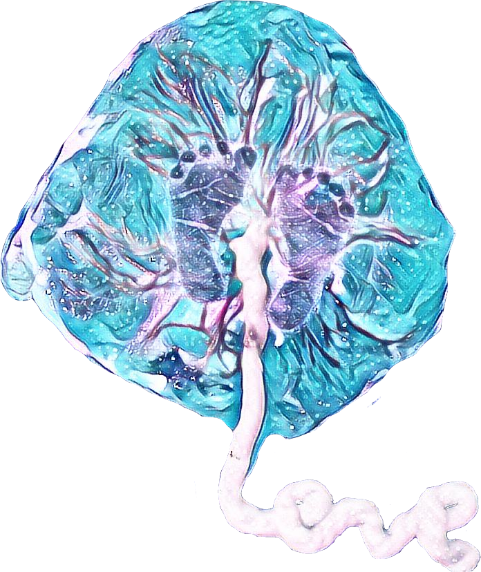 Placenta art with baby's footprints