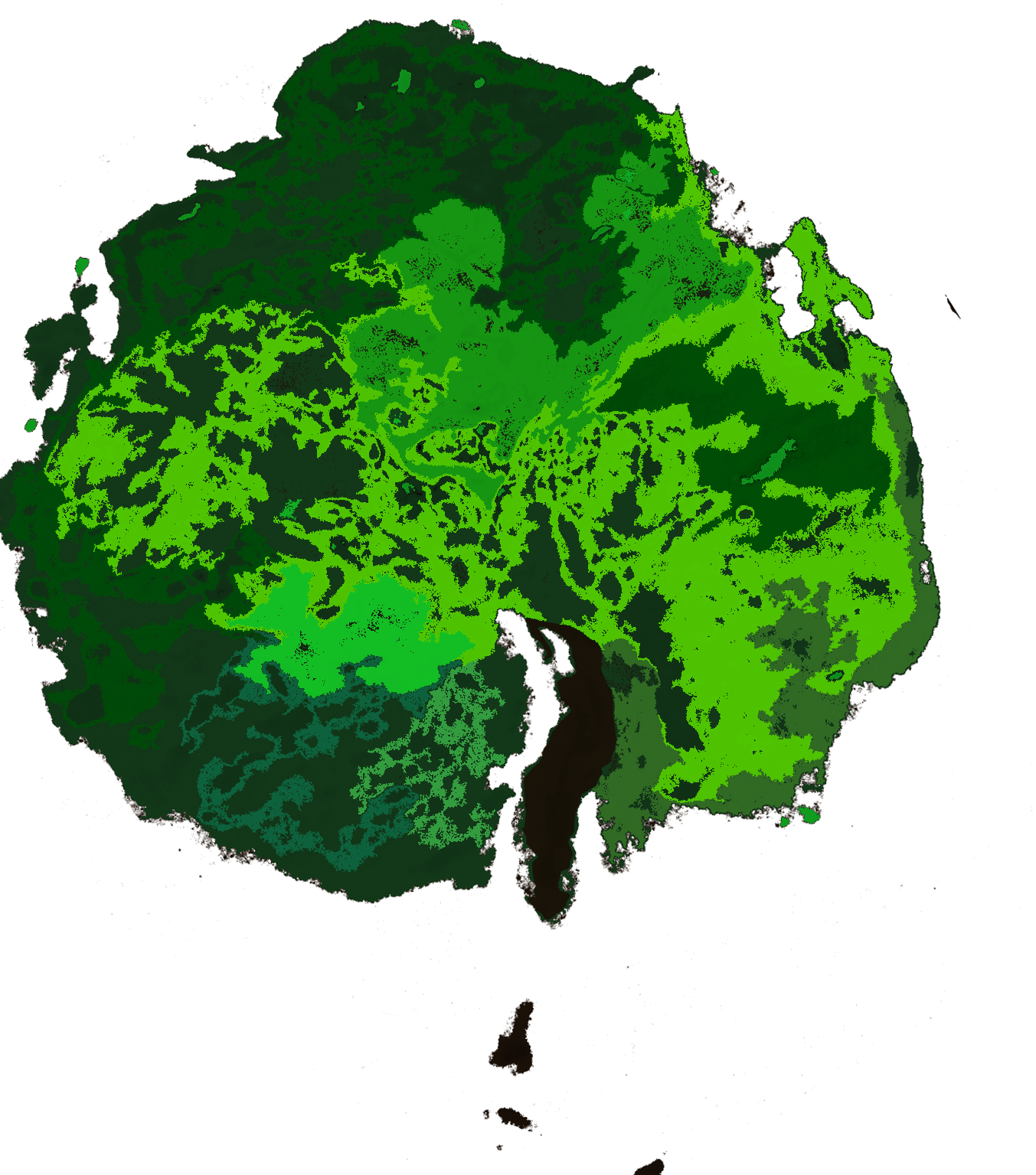 Tree of Life Placenta