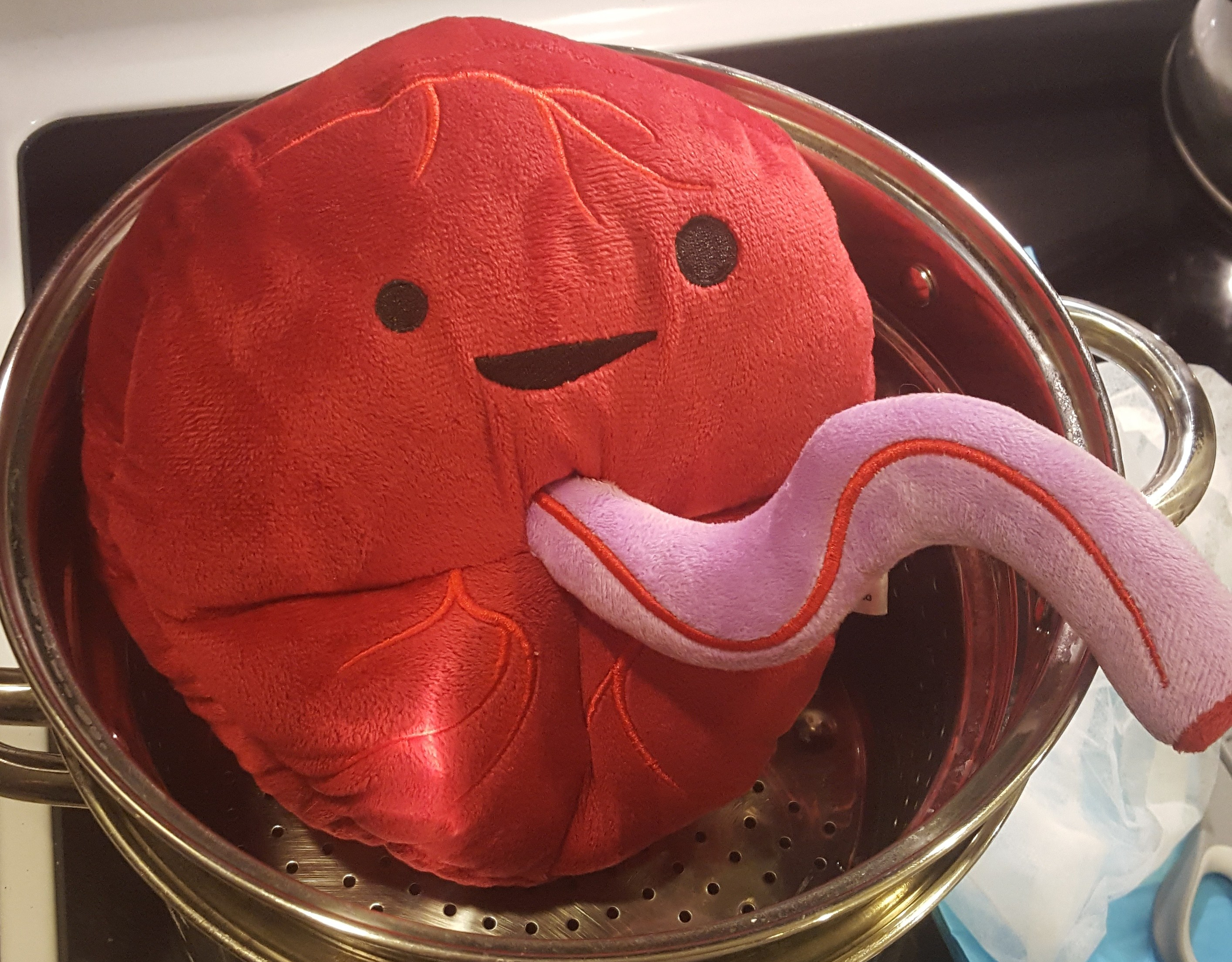 Best Placenta Encapsulation Services in Utah