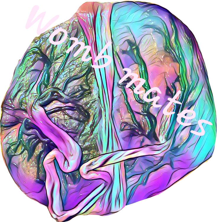 Twin placenta encapsulation art